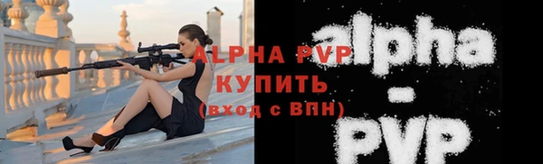стафф Заводоуковск