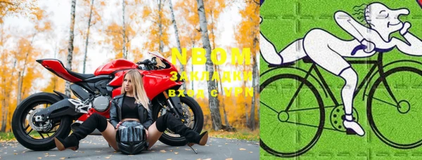 стафф Заводоуковск