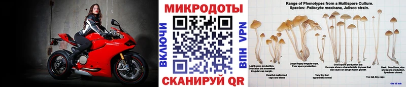 Галлюциногенные грибы GOLDEN TEACHER  площадка Telegram  Клин 